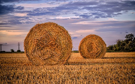 straw.png straw.png
